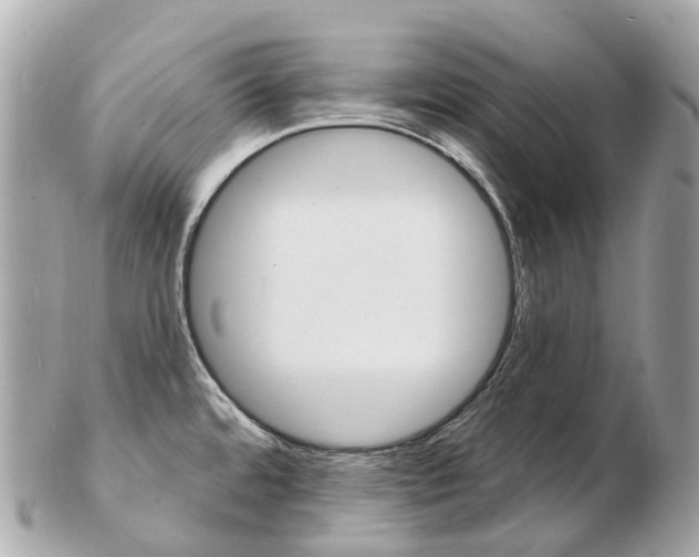 X0000103301480200808291119