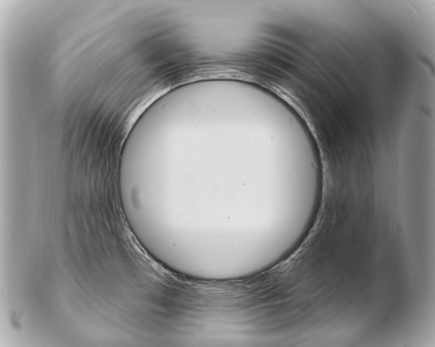 X0000103301481200808291119