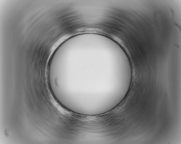 X0000103301482200808291119