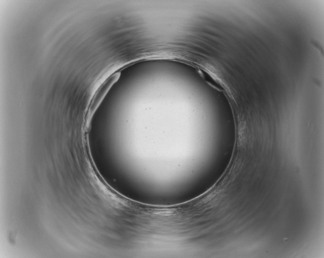 X0000103301484200808291119