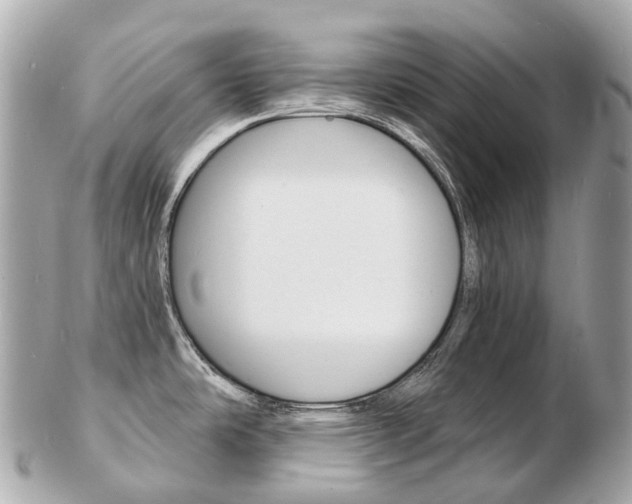 X0000103301486200808291119