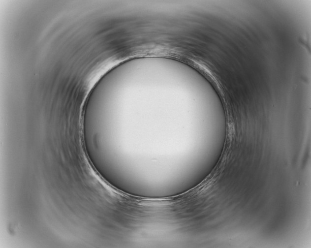 X0000103301487200808291119