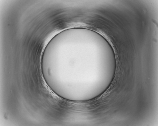 X0000103301488200808291119