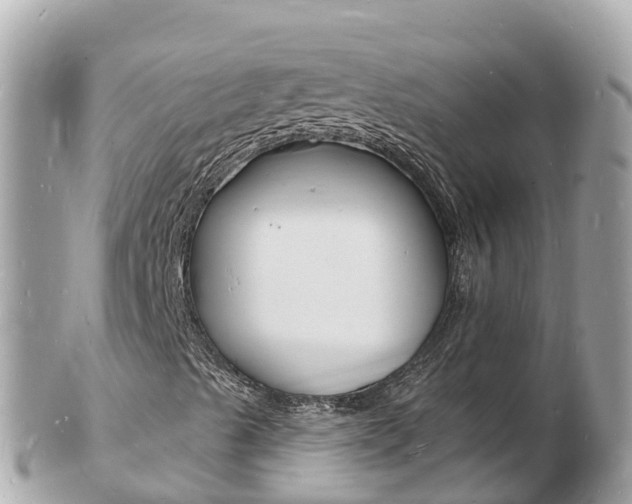 X0000103301489200808291118