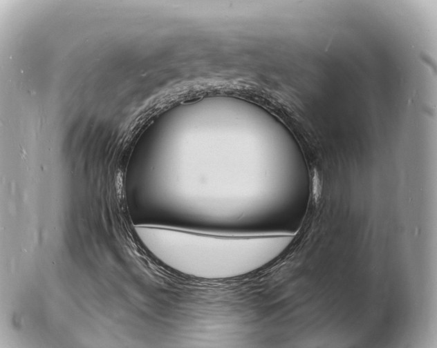 X0000103301492200808291118
