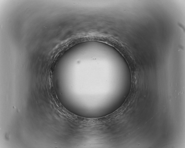 X0000103301493200808291118