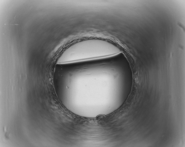 X0000103301495200808291118