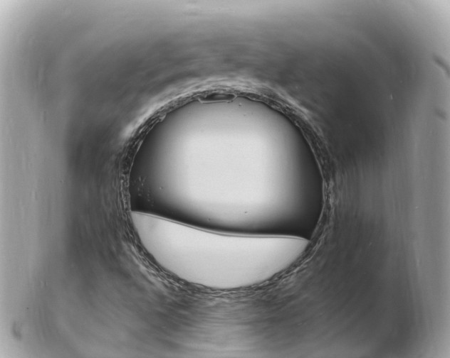 X0000103301496200808291118