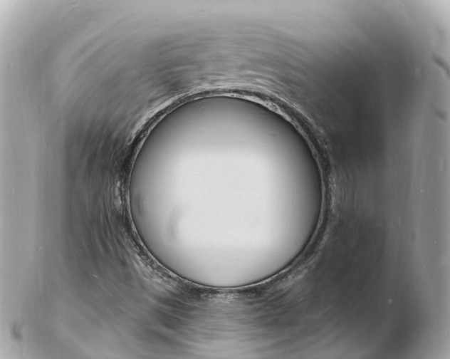 X0000103301497200808291118