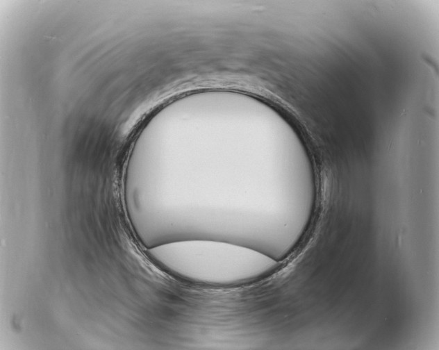 X0000103301498200808291118