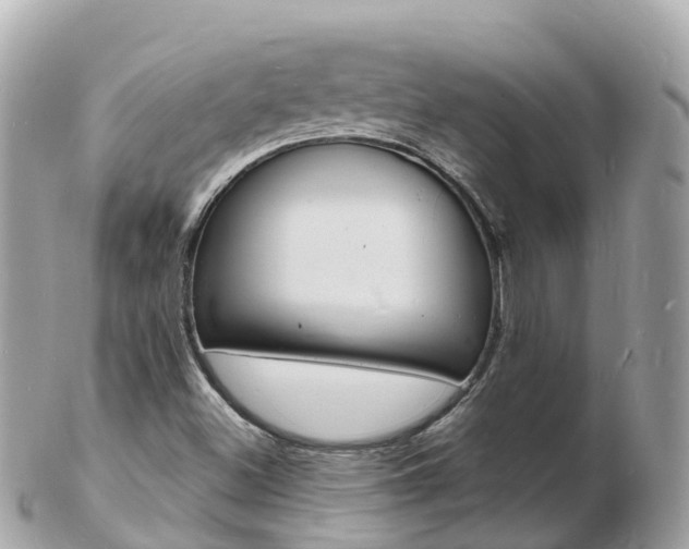 X0000103301500200808291118