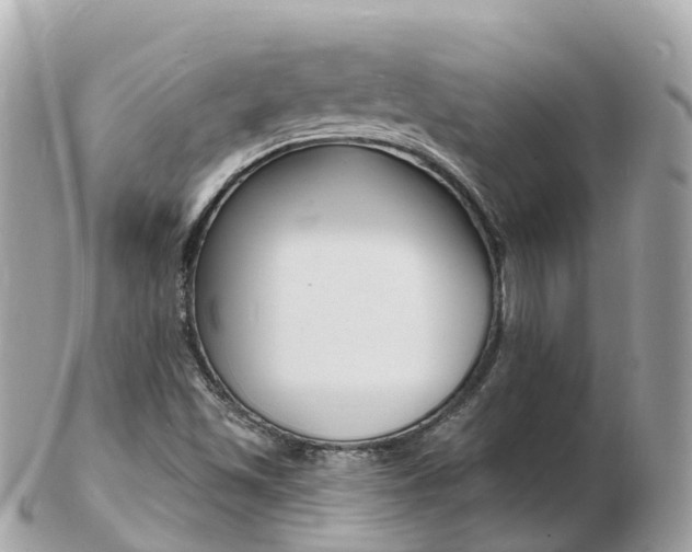 X0000103301501200808291118