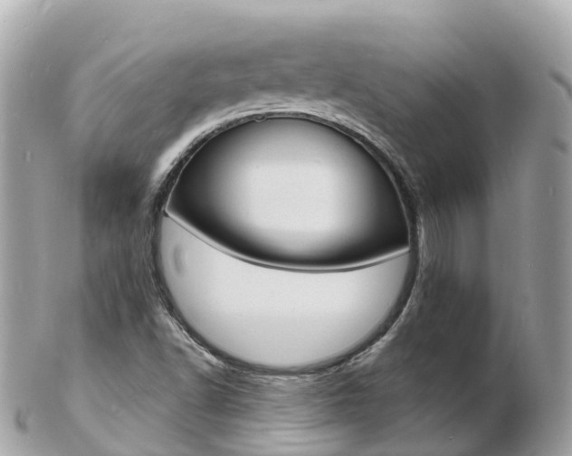 X0000103301502200808291118