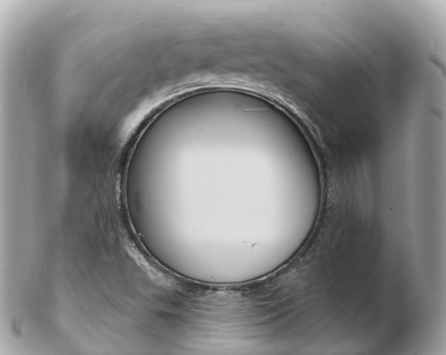 X0000103301503200808291118