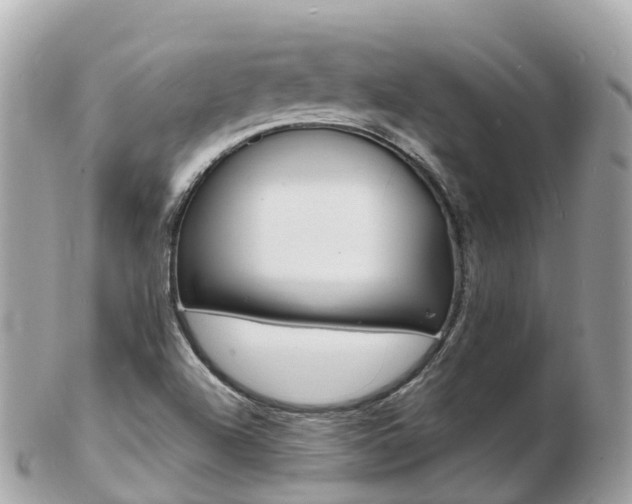 X0000103301504200808291118