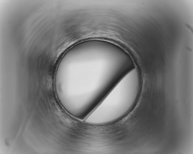 X0000103301505200808291118