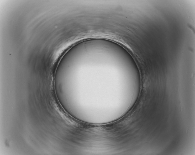 X0000103301507200808291118