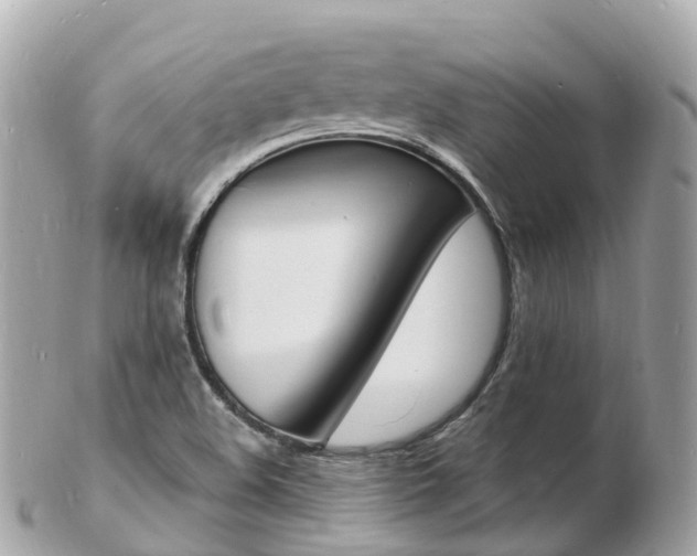 X0000103301508200808291119
