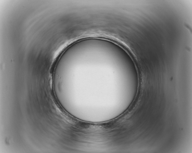 X0000103301509200808291119