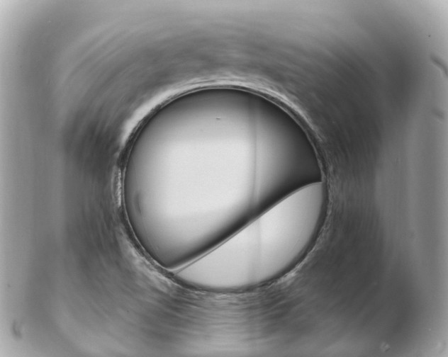 X0000103301510200808291119