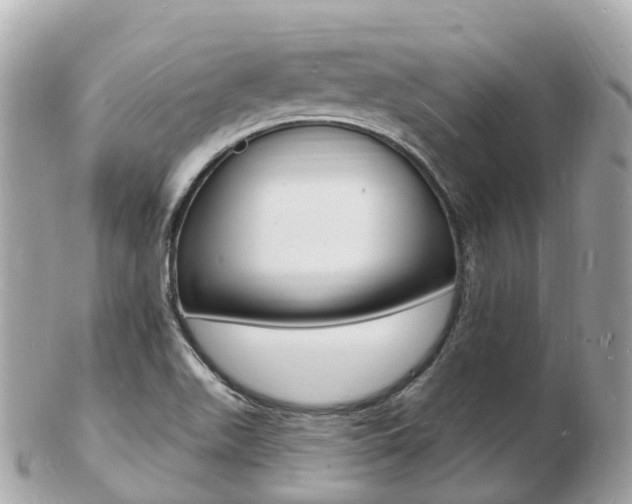 X0000103301511200808291119