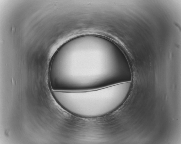 X0000103301512200808291119