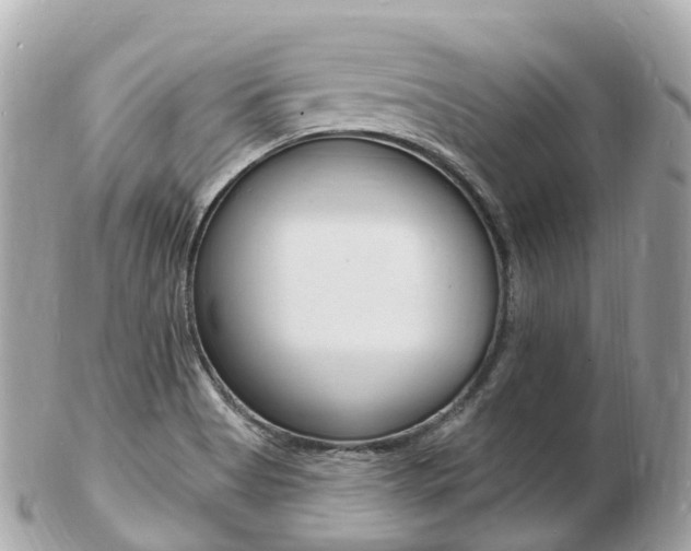 X0000103301513200808291119