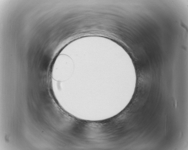 X0000103301514200808291119