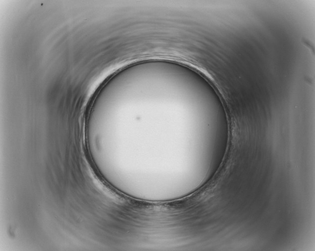 X0000103301515200808291119