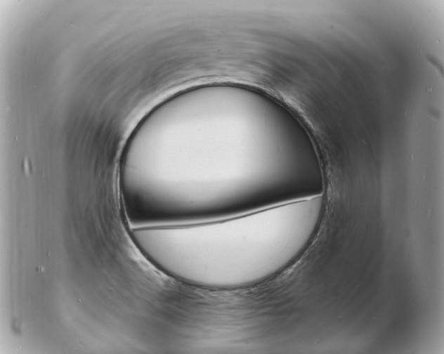 X0000103301516200808291119