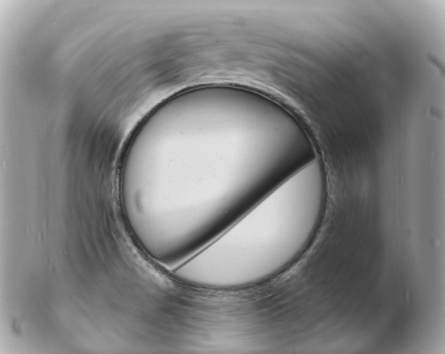 X0000103301517200808291119