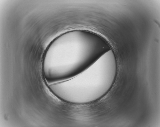 X0000103301518200808291119