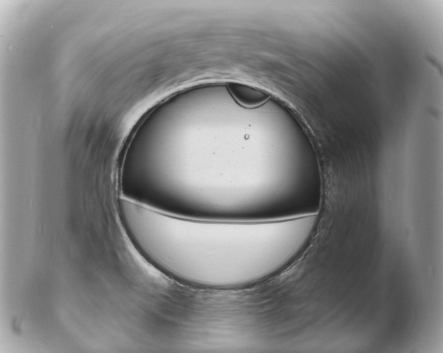 X0000103301519200808291119