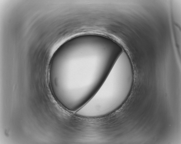 X0000103301520200808291119
