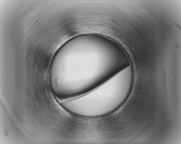 X0000103301521200808291119