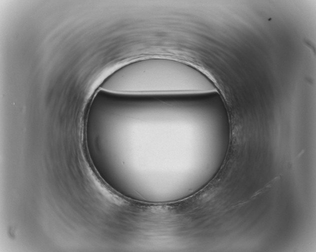 X0000103301523200808291119