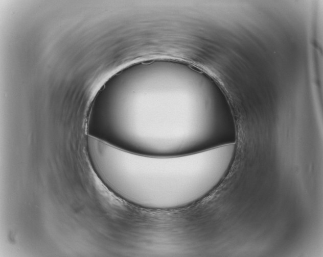 X0000103301524200808291119