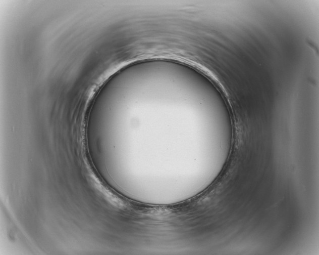 X0000103301525200808291119