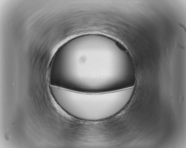 X0000103301526200808291119
