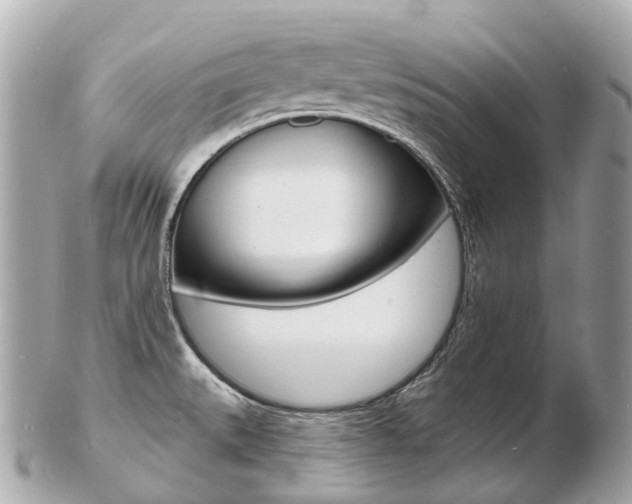 X0000103301527200808291119