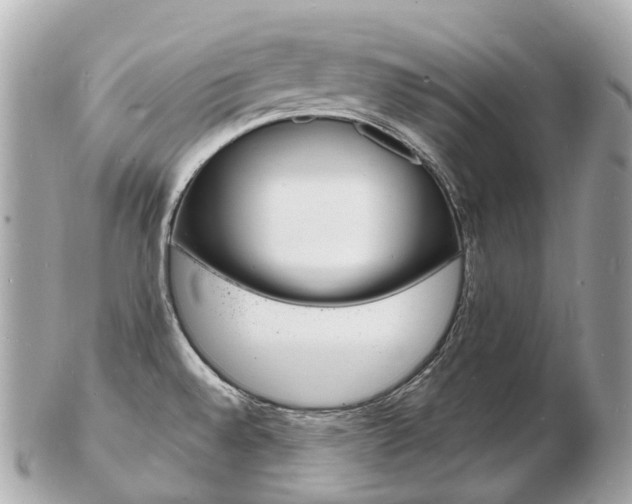 X0000103301528200808291119