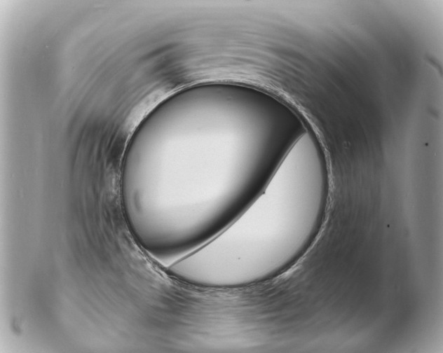 X0000103301529200808291119