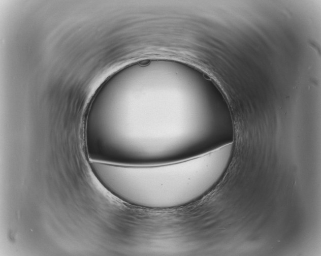 X0000103301531200808291119