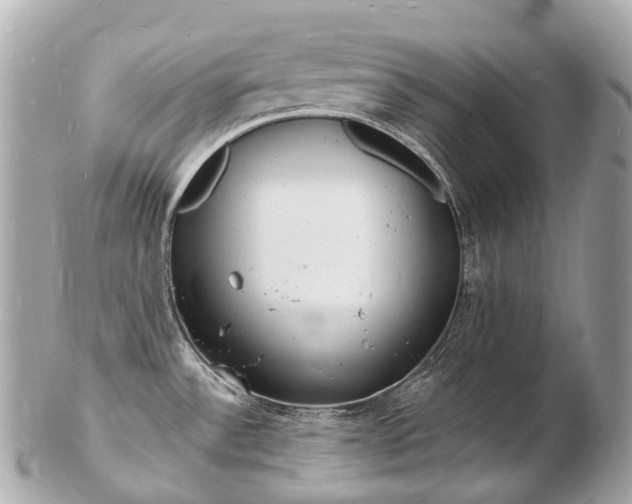 X0000103301532200808291119