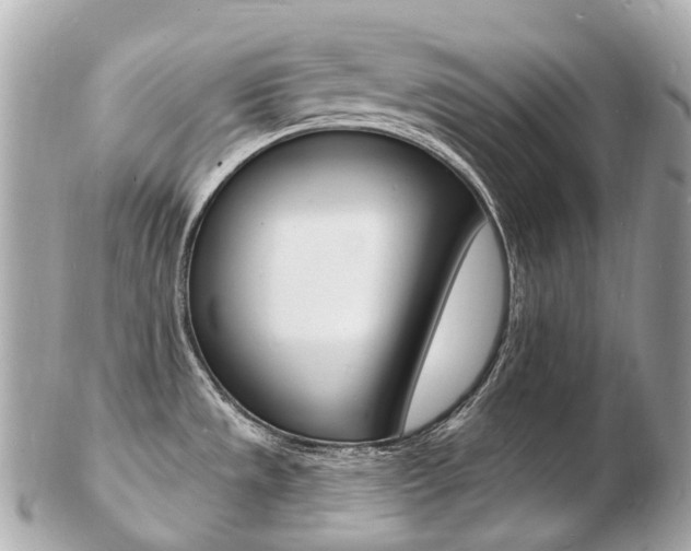 X0000103301533200808291119