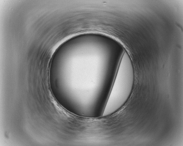 X0000103301534200808291119