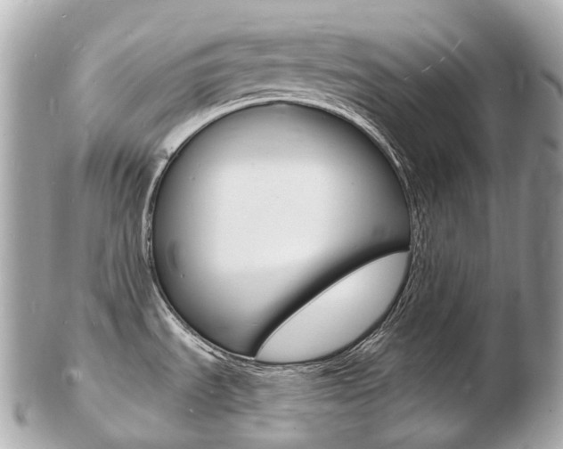 X0000103301535200808291119