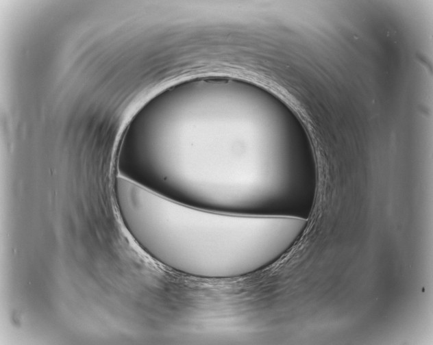 X0000103301536200808291119