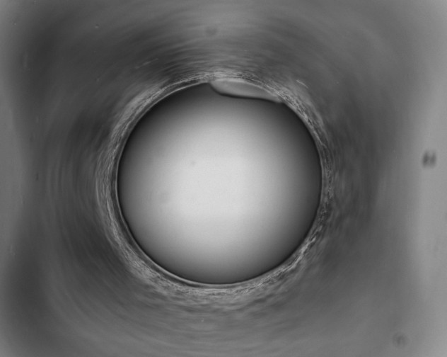 X0000103300001200808291416