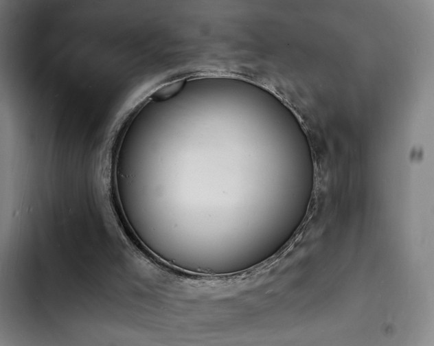 X0000103300005200808291416